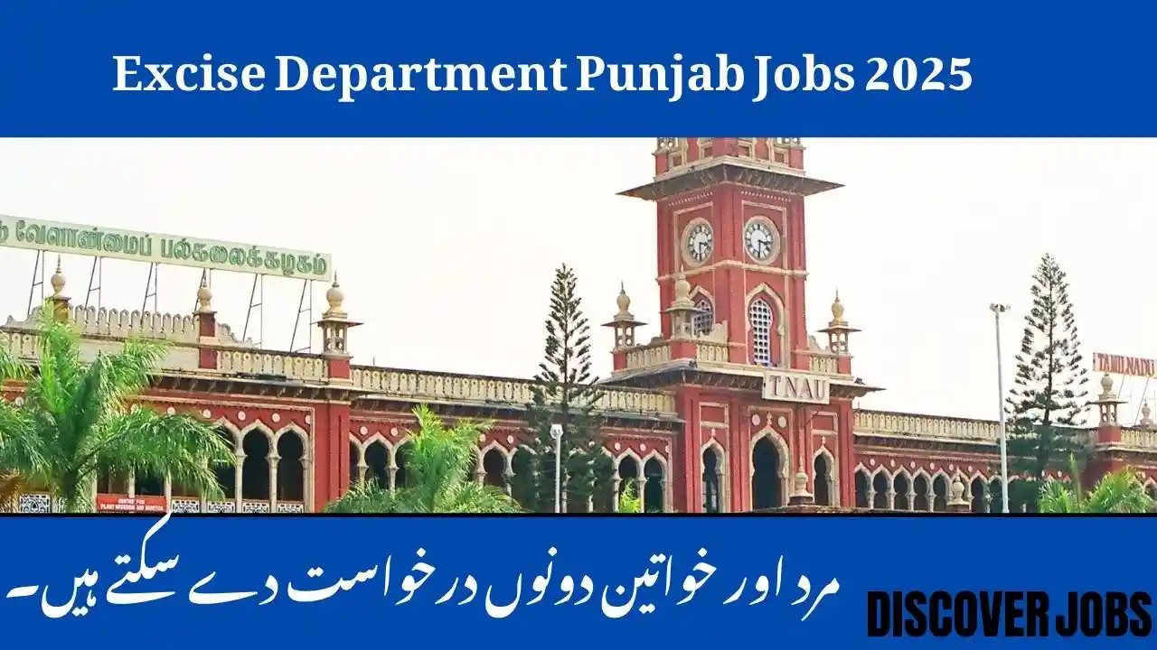 Excise Department Punjab Jobs