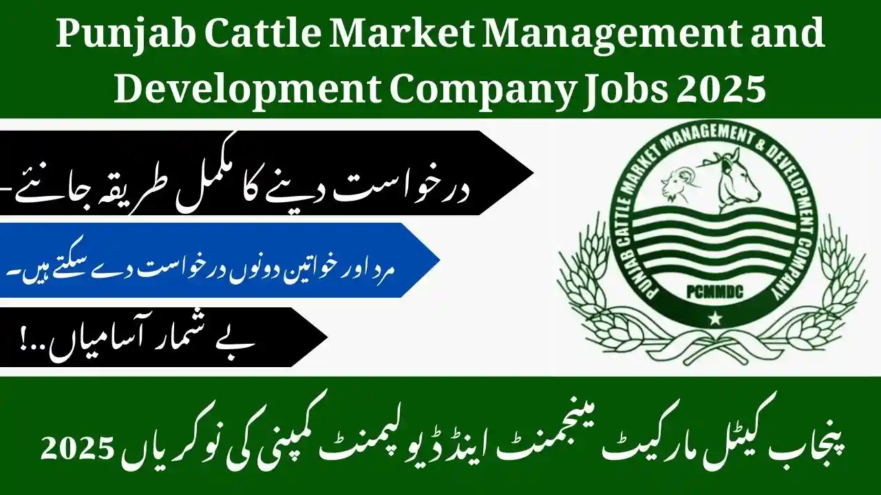 Punjab Cattle Market Management and Development Company Jobs